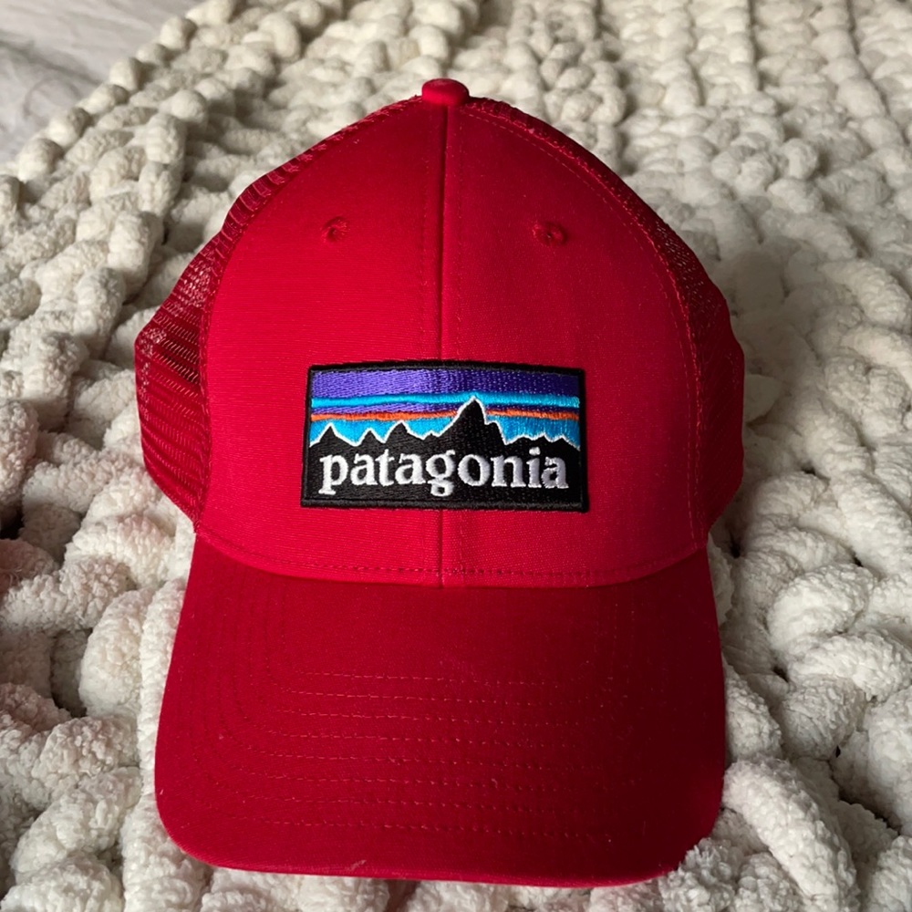 Patagonia Trucker Snap Back Hat